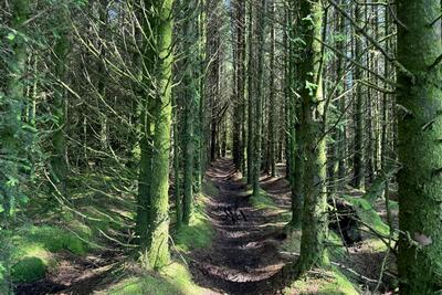 Walk photo