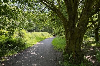 Walk photo