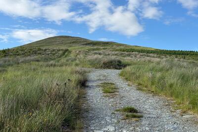 Walk photo