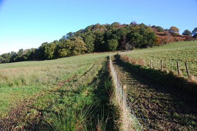 Walk photo