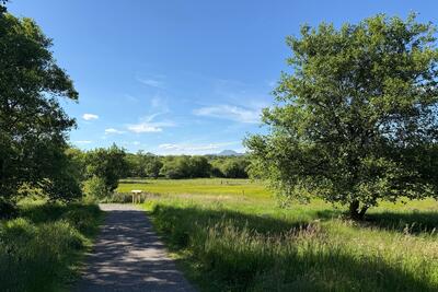 Walk photo
