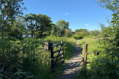 Walk photo