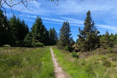 Walk photo