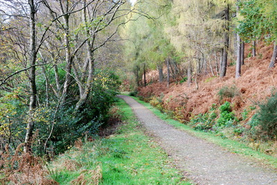 Walk photo