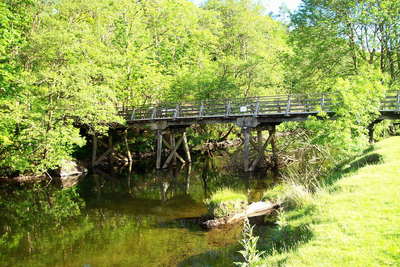 Walk photo