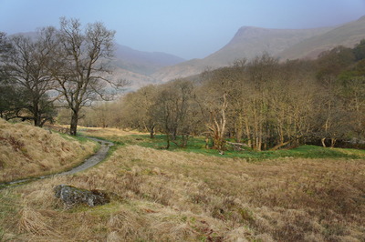 Walk photo