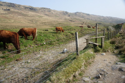 Walk photo