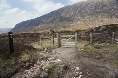 Walk photo