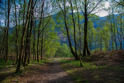 Walk photo