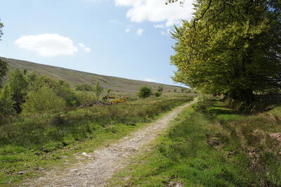 Walk photo