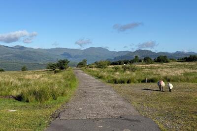 Walk photo
