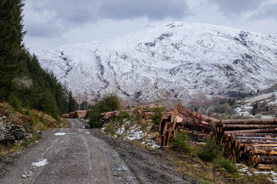 Three Lochs Way: Garelochhead to Arrochar / Tarbet