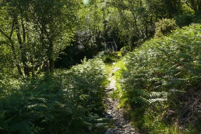 Walk photo