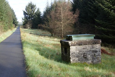 Walk photo