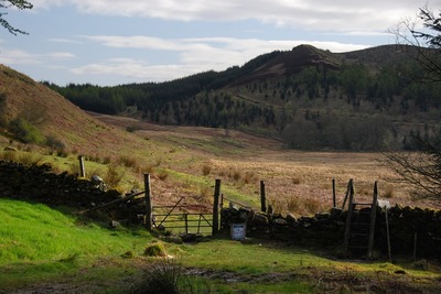 Walk photo