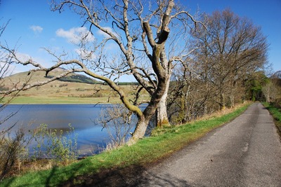 Walk photo