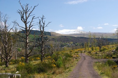 Walk photo