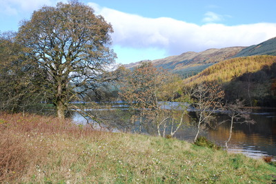Walk photo