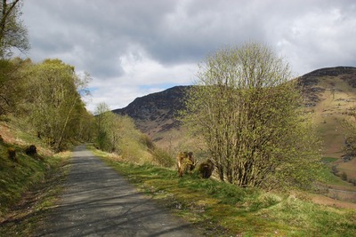 Walk photo