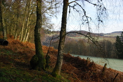 Walk photo