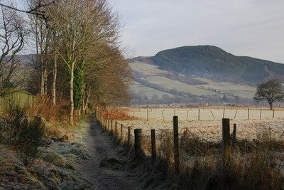 Walk photo