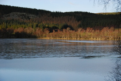 Walk photo