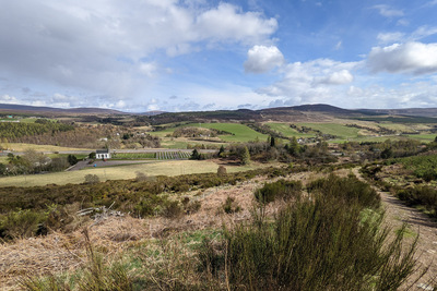 Walk photo