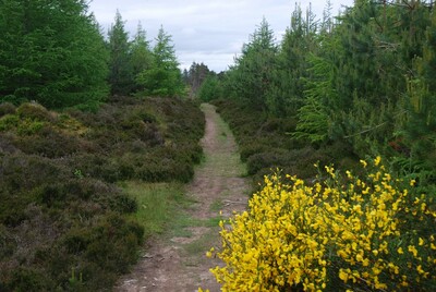 Walk photo