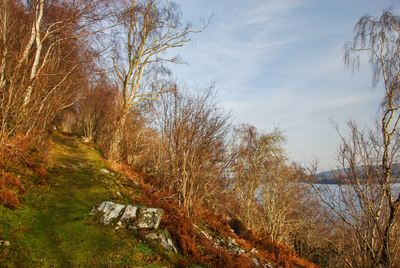 Walk photo