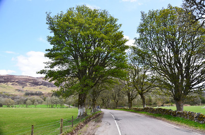 Walk photo