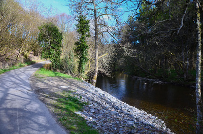 Walk photo