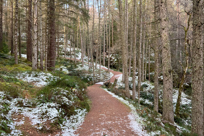 Walk photo