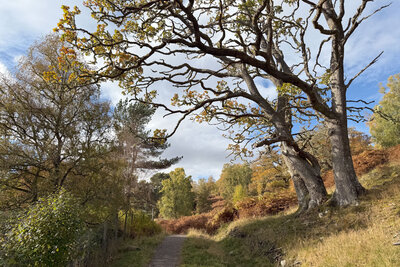 Walk photo