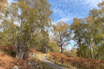 Walk photo
