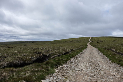 Walk photo