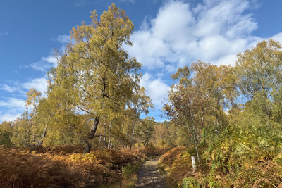 Walk photo