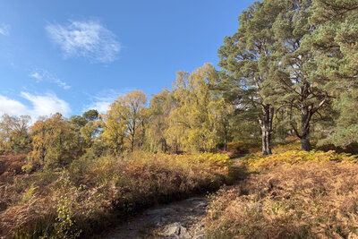 Walk photo
