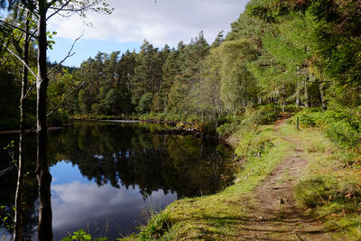 Walk photo