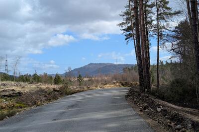 Walk photo