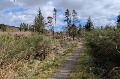 Walk photo