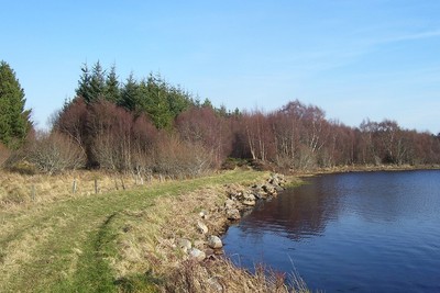 Walk photo