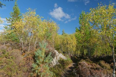 Walk photo
