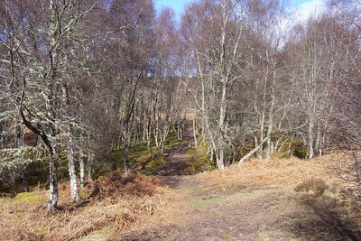 Walk photo