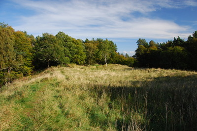 Walk photo