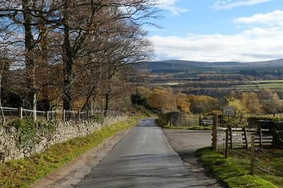 Walk photo