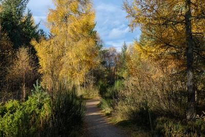 Walk photo