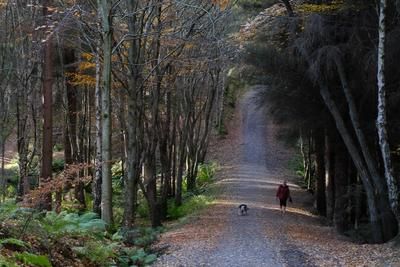 Walk photo