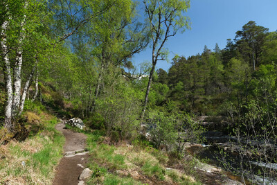 Walk photo
