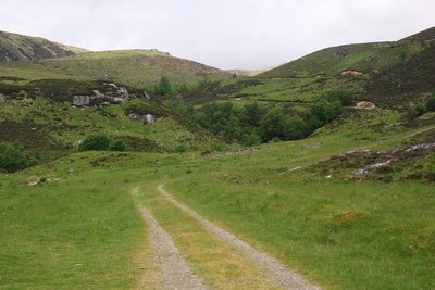Walk photo