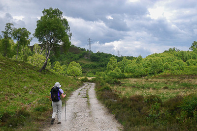 Walk photo